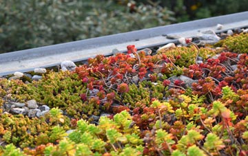 the cost of Coombes green roof installation