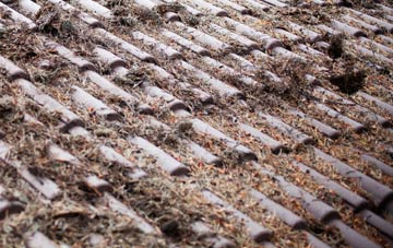 Coombes roof cleaning companies