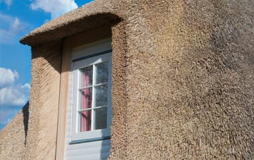 Coombes thatch roof disadvantages