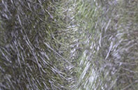 Coombes fibreglass roof work